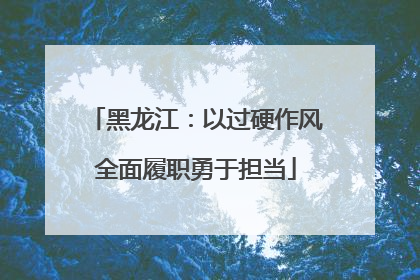 黑龙江：以过硬作风全面履职勇于担当