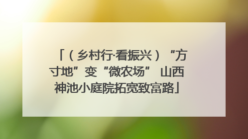 （乡村行·看振兴）“方寸地”变“微农场” 山西神池小庭院拓宽致富路