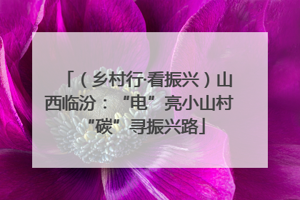 （乡村行·看振兴）山西临汾：“电”亮小山村 “碳”寻振兴路