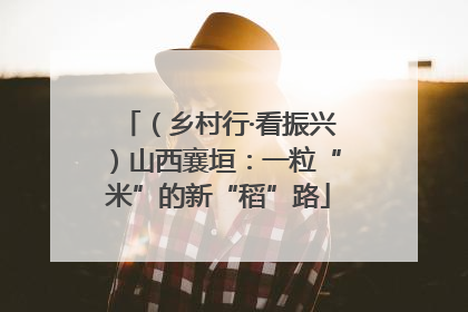 （乡村行·看振兴）山西襄垣：一粒“米”的新“稻”路
