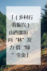 （乡村行·看振兴）山西襄垣：向“林”发力 借“绿”生金