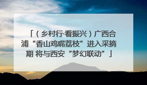 （乡村行·看振兴）广西合浦“香山鸡嘴荔枝”进入采摘期 将与西安“梦幻联动”