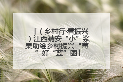 （乡村行·看振兴）江西靖安“小”浆果助绘乡村振兴“莓”好“蓝”图