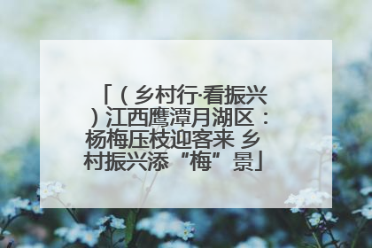 （乡村行·看振兴）江西鹰潭月湖区：杨梅压枝迎客来 乡村振兴添“梅”景