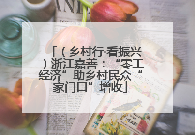 （乡村行·看振兴）浙江嘉善：“零工经济”助乡村民众“家门口”增收
