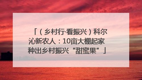 （乡村行·看振兴）科尔沁新农人：10亩大棚起家种出乡村振兴“甜蜜果”