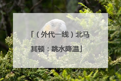 （外代一线）北马其顿：跳水降温