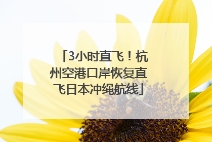 3小时直飞！杭州空港口岸恢复直飞日本冲绳航线
