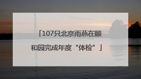 107只北京雨燕在颐和园完成年度“体检”