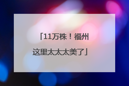 11万株！福州这里太太太美了