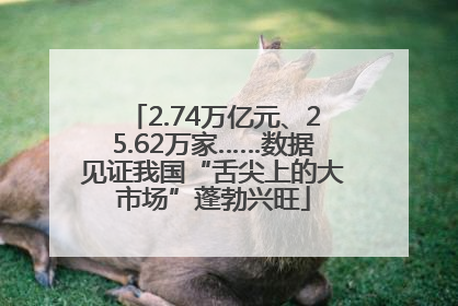 2.74万亿元、25.62万家……数据见证我国“舌尖上的大市场”蓬勃兴旺