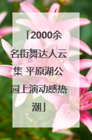 2000余名街舞达人云集 平原湖公园上演动感热潮