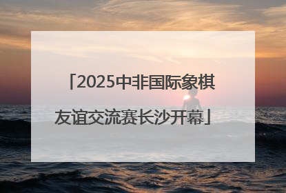 2025中非国际象棋友谊交流赛长沙开幕