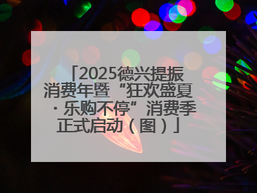 2025德兴提振消费年暨“狂欢盛夏・乐购不停”消费季正式启动（图）