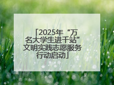 2025年“万名大学生进千站”文明实践志愿服务行动启动