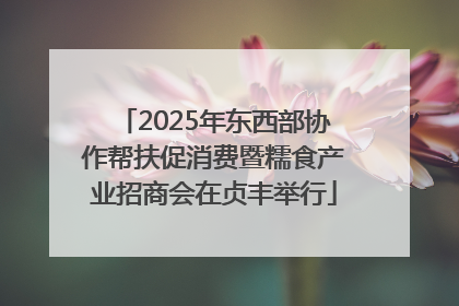 2025年东西部协作帮扶促消费暨糯食产业招商会在贞丰举行
