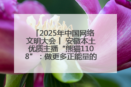 2025年中国网络文明大会丨 安徽本土优质主播“熊猫1108”：做更多正能量的事情 带给大家快乐