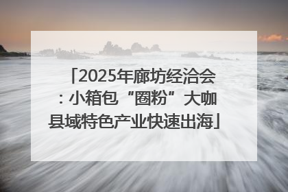 2025年廊坊经洽会：小箱包“圈粉”大咖 县域特色产业快速出海