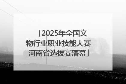 2025年全国文物行业职业技能大赛河南省选拔赛落幕