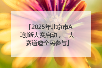 2025年北京市AI创新大赛启动，三大赛道邀全民参与
