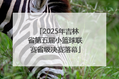 2025年吉林省第五届小篮球联赛省级决赛落幕
