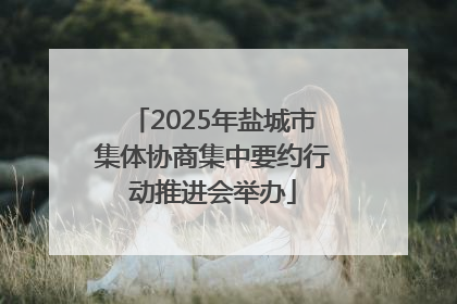 2025年盐城市集体协商集中要约行动推进会举办