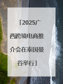 2025广西跨境电商推介会在泰国曼谷举行