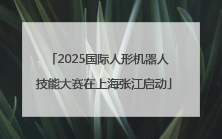 2025国际人形机器人技能大赛在上海张江启动