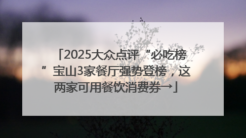 2025大众点评“必吃榜”宝山3家餐厅强势登榜，这两家可用餐饮消费券→