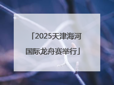 2025天津海河国际龙舟赛举行
