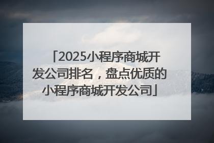 2025小程序商城开发公司排名，盘点优质的小程序商城开发公司