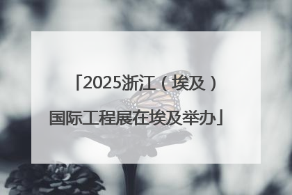 2025浙江（埃及）国际工程展在埃及举办