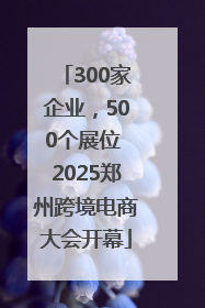 300家企业，500个展位 2025郑州跨境电商大会开幕