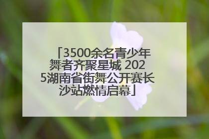 3500余名青少年舞者齐聚星城 2025湖南省街舞公开赛长沙站燃情启幕