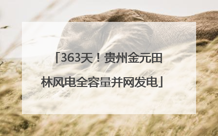 363天！贵州金元田林风电全容量并网发电