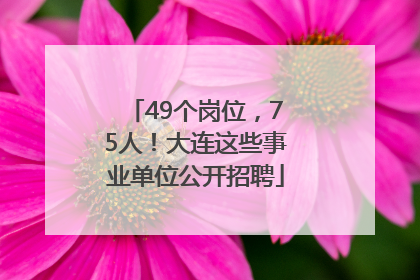 49个岗位，75人！大连这些事业单位公开招聘