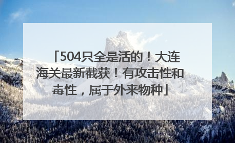 504只全是活的！大连海关最新截获！有攻击性和毒性，属于外来物种