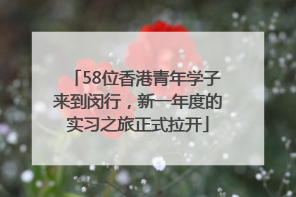 58位香港青年学子来到闵行，新一年度的实习之旅正式拉开