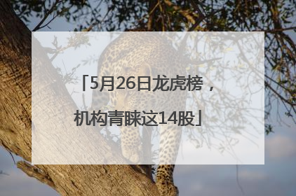 5月26日龙虎榜，机构青睐这14股
