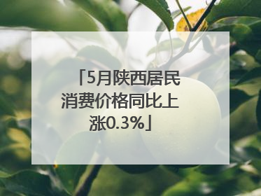 5月陕西居民消费价格同比上涨0.3%