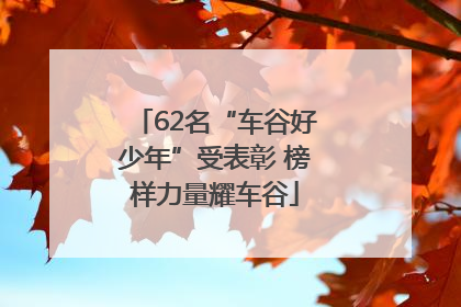 62名“车谷好少年”受表彰 榜样力量耀车谷