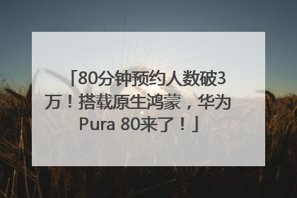 80分钟预约人数破3万！搭载原生鸿蒙，华为Pura 80来了！